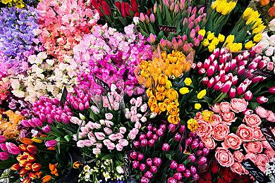 《黑神话：悟空》豆瓣评分9.1分 圆了大圣梦