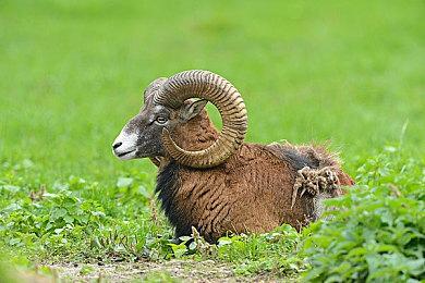 《湮灭线》现已登陆蒸汽平台，首发折扣开启